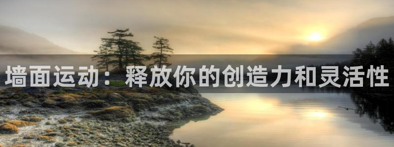 意昂4集团官网首页网址：墙面运动：释放你的创造力和灵