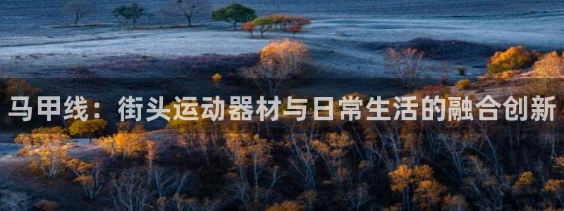 意昂4娱乐下载：马甲线：街头运动器材与日常生活的融合创新