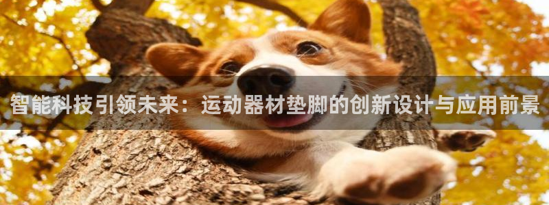 意昂4娱乐平台：智能科技引领未来：运动器材垫脚的创新设计与应