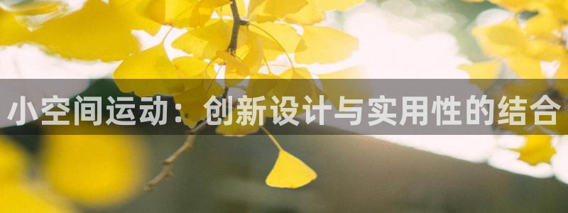 意昂4五金厂：小空间运动：创新设计与实用性的结合