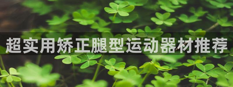 意昂4科技：超实用矫正腿型运动器材推荐