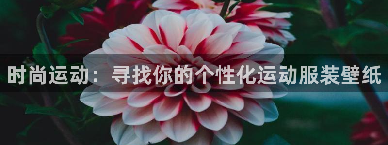 意昂4神州：时尚运动：寻找你的个性化运动服装壁纸