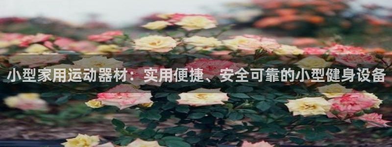 意昂体育4招商电话号码查询：小型家用运动器材：实用便捷、安全