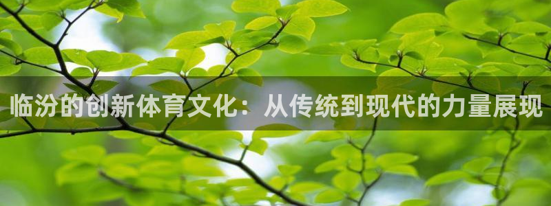 意昂体育4平台注册流程视频：临汾的创新体育文化：从传统到现代
