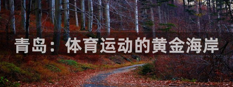 意昂4代理：青岛：体育运动的黄金海岸
