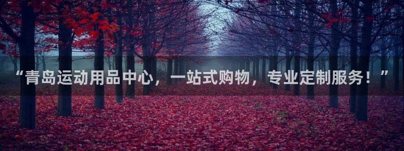 意昂体育4娱乐：“青岛运动用品中心，一站式购物，专业
