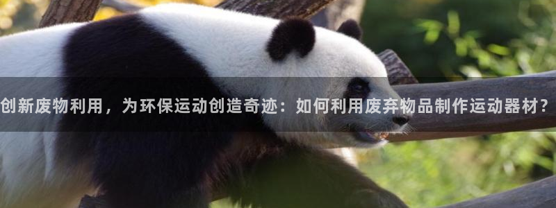 意昂体育4平台假的吗是真的吗：创新废物利用，为环保运动创造奇