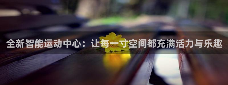意昂体育4平台注册：全新智能运动中心：让每一寸空间都充满活力