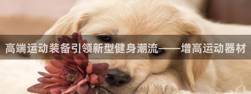 意昂4集团官网网址：高端运动装备引领新型健身潮流——增高运动