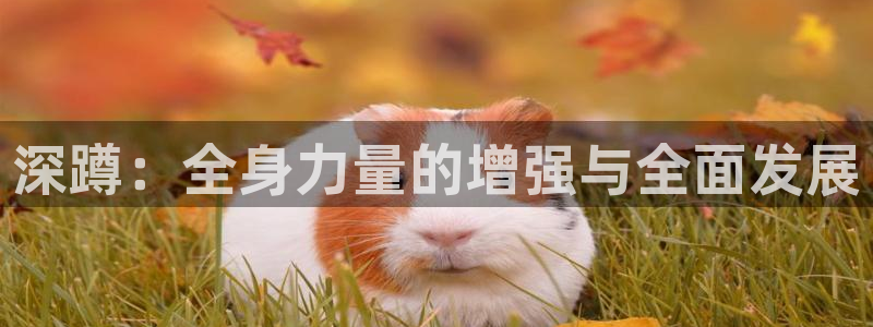 意昂体育4官方客服电话：深蹲：全身力量的增强与全面发