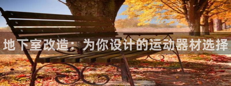 意昂4新能源：地下室改造：为你设计的运动器材选择