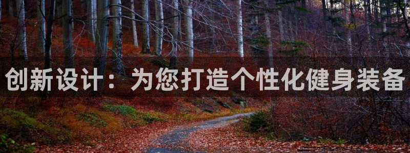 意昂4娱乐首页官网下载：创新设计：为您打造个性化健身装备