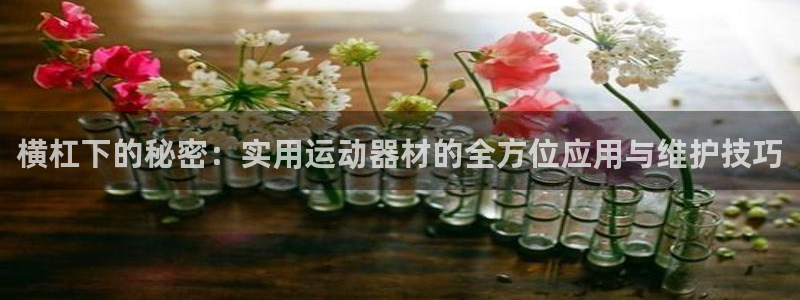 意昂4代理：横杠下的秘密：实用运动器材的全方位应用与维护技巧