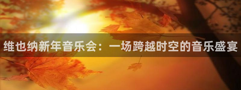 黑白体育直播nba免费观看