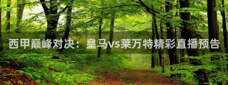 篮球黑白直播：西甲巅峰对决：皇马vs莱万特精彩直播预告