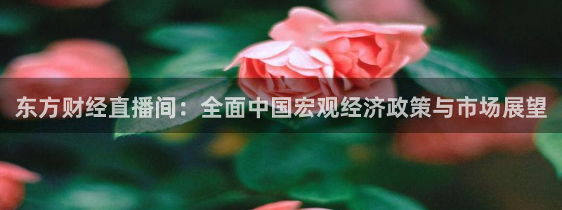 足球直播黑白直播：东方财经直播间：全面中国宏观经济政策与市场展望