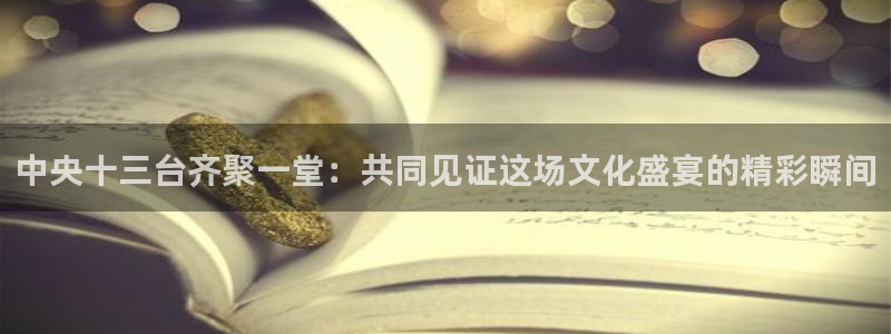 黑白体育nba篮球直播：中央十三台齐聚一堂：共同见证这场文化盛宴的精彩瞬间