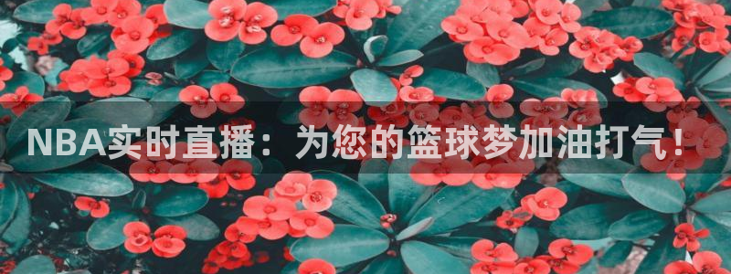 黑白体育直播：NBA实时直播：为您的篮球梦加油打气！
