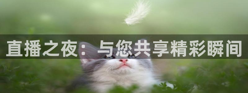 黑白直播体育app：直播之夜：与您共享精彩瞬间