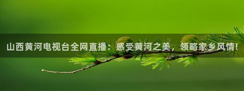 黑白直播nba赛事免费观看：山西黄河电视台全网直播：感受黄河之美，领略家乡风情!